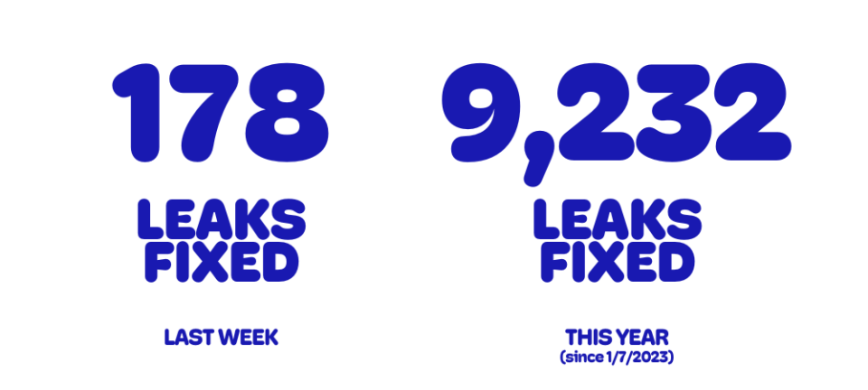 LEAKS FIXED WEEKLY YEARLY v29
