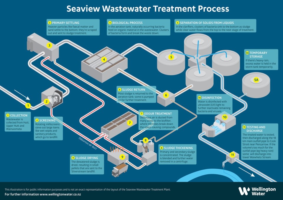 Seaview   plant operations diagram