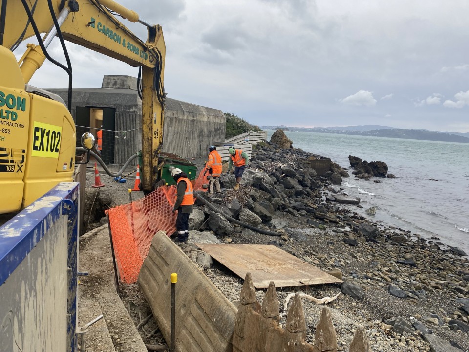 Days Bay wastewater overflow incident